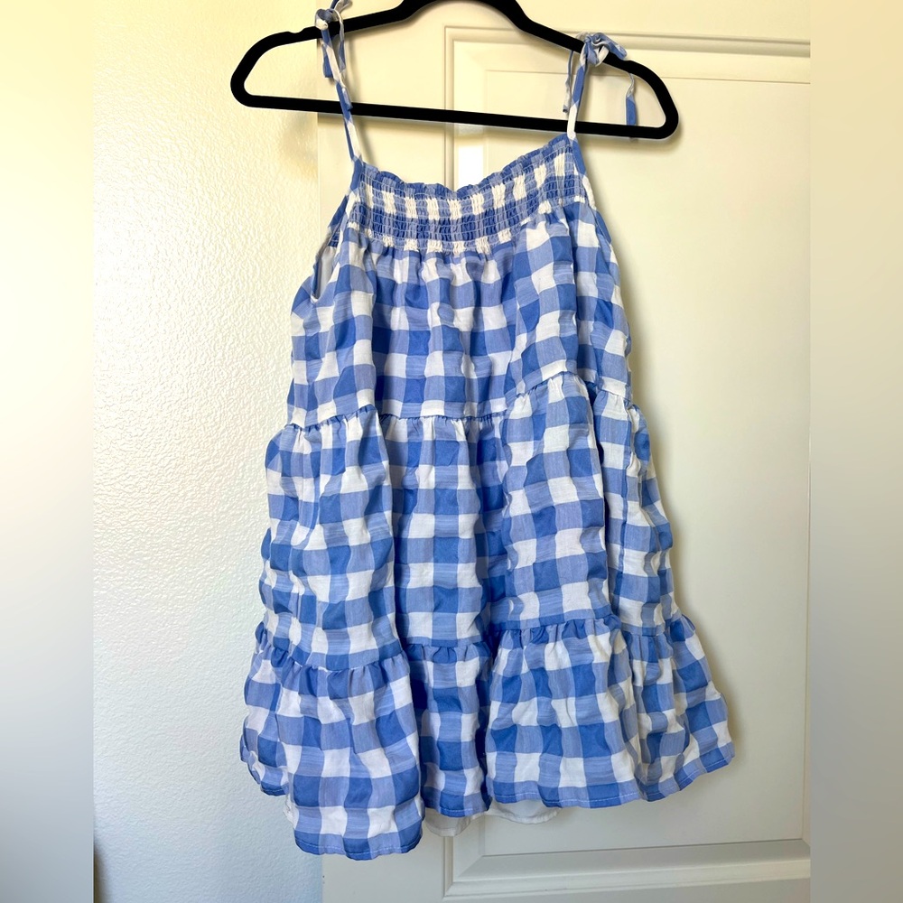F21 Gingham Picnic Dress